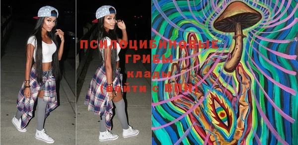 прущий лед Корсаков