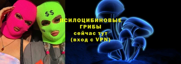 мет Коряжма