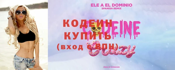 прущий лед Корсаков